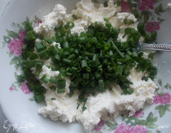 Порежьте мелко лук и и добавьте к творогу.
