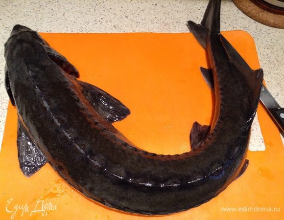 Отварить рыбу, в воду добавить перец, лавровый лист и соль.
Рыбу разобрать на мелкие кусочки.