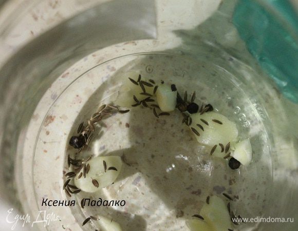 На дно стерилизованной банки положить щепотку тмина, перец душистый и черный, чеснок нарезанный пластинками.