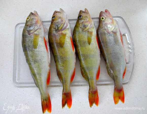 Окуней выпотрошить, удалить жабры, чешую не очищать, промыть. 