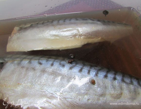 Сложить скумбрию в лоток и залить остывшим маринадом.