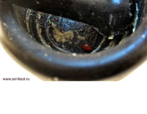 К взбитому нуту добавьте всю пасту тахини, молотую паприку. В блендер-стакан можно добавить сразу все неразмолотые приправы, но мой погружной блендер не очень хорошо справляется с перетиранием кумина и прочих «мелочей». Поэтому чеснок, свежую мяту, кайенский перец и кумин я предварительно перетираю в ступке. Таким образом, на этом этапе добавьте к нуту все приправы, которые Вы выбрали. И главное – пробуйте: может Вам покажется маловато чеснока или захочется добавить еще кумина или остроты? Пробуйте!
 
Паприка придаст как вкус, так и красивый красноватый оттенок готовой пасте.

Количество острого перца регулируйте в зависимости от пристрастия к остроте: от небольшого кусочка до трех стручков. Если Вы используете порошок кайенского перца, то от нескольких крупинок до уверенной щепотки. Многие не добавляют в пасту острый перец совсем, а только подают его при подаче в отдельной чашечке.  

Если это завтрак, количество чеснока можно сократить до минимума, удалив «злую» сердцевинку, или вовсе исключить. Кто-то Вам скажет, что совсем без чеснока это не будет хумусом, ну и пусть: зато у Вас будет прекрасное блюдо на завтрак. Тем более Хумус - это не что иное, как сам нут! 
