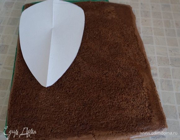Сборка торта: из бумаги вырезать трафарет по форме похожий на шишку. Остывший бисквит разрезать на 3-4 прямоугольника. Я делала так: у меня размер бисквита 30*36, я вырезала шаблон размером 16 см в самой широкой части на 25 см, а потом делала Уже и короче каждый последующий корж. 