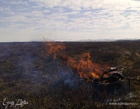 А готовить очень просто - мясо нарезать на одинаковые куски, не мелко.
Лук очистить и нарезать как придется, Самое главное - чтобы лук потом дал сок.
