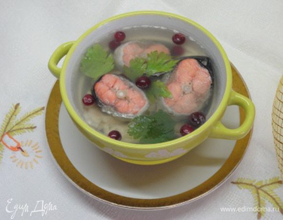 Желатин разведите в небольшом количестве воды (пример 1/2 стакана) и оставьте для набухания. Подготовьте формы для заливного. Аккуратно шумовкой достаньте кусочки рыбы из бульона и разложите в формы. Бульон процедите, верните в кастрюлю и добавьте набухший желатин и перемешайте до полного растворения.
Залейте рыбу бульоном, разложите веточки зелени и клюкву. Остудите и переставьте в холодильник до полного застывания.