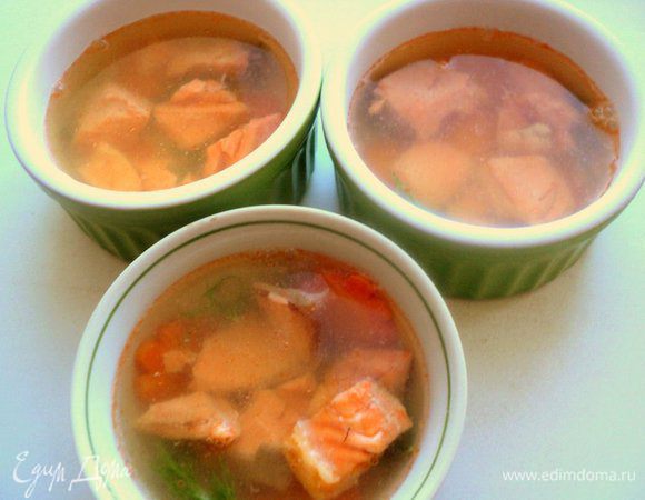 Затем выложить кусочки семги и залить оставшимся бульоном. Поставить в холодильник до полного застывания.