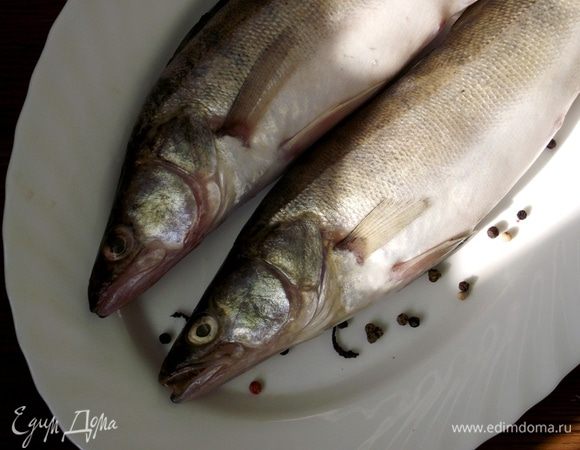 Тушку судака промыть, обрезать плавники, очистить от чешуи, удалить жабры и внутренности. Промыть и промокнуть салфеткой. У свежего судака слизь в жабрах должна быть прозрачного цвета, по этому признаку легко можно определить свежесть рыбы.