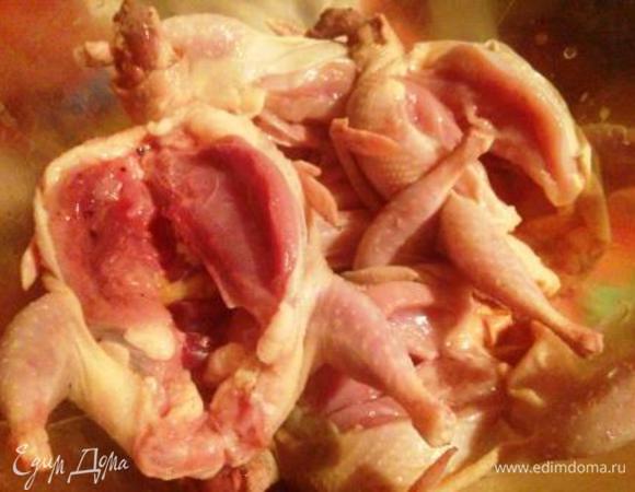 Перепелов обшмалить, промыть, разрезать вдоль по грудке.