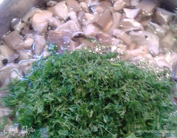 Грибы порезать и положить в кастрюлю, варить 25 минут. Мелко нарезать укроп. Добавить к грибам укроп и влить уксус. Варить еще 5 минут.