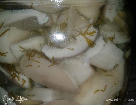 Остудить с закрытой крышкой. Лук мелко нарезать. Переложить грибы в банки, пересыпая свежим луком (2-3 ложки грибов и щепотка лука). Остудить еще слегка и убрать в холодильник.

Когда совсем остынуть в холодильнике, можно кушать. Приятного аппетита.