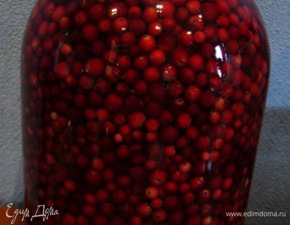 Бруснику хорошенько перебрать (по ягодке, если в банку попадут плохие ягоды, они нам се испортят!).
Вымыть ягоды, высушить на полотенце. Сложить в чистую трехлитровую банку. Уровень ягод – по «плечики» банки.
Затем залить чистой питьевой водой. Закрыть крышкой и поставить месяца на 2-3 настаиваться. У меня баночка в комнате стоит. Брусника содержит бензойную кислоту, которая обладает антимикробным действием. Поэтому если вы хорошенько перебрали ягодки, брожения никакого не будет.
