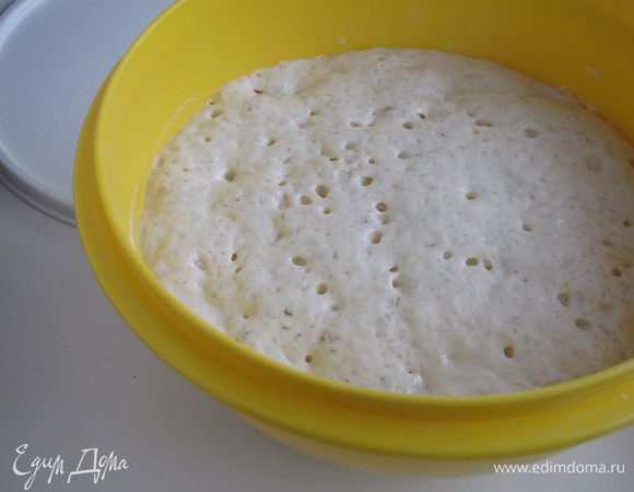 Добавить 100 грамм муки, перемешать и поставить в теплое место. Опара должна увеличиться в 2-3 раза.