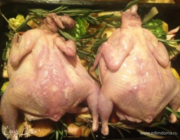 Выложить смесь в смазанную растительным маслом форму (у меня 2), сверху 2 веточки тимьяна и сверху перепелов спинкой вверх.

Поставить в разогретую до 180-200 градусов духовку минут на 15. Затем вытащить, смазать перепелов растительным маслом и снова отправить в духовку на 15 мин.

