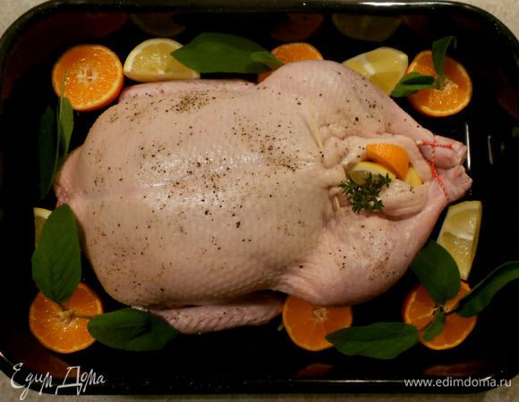 Выложить утку в жаровню, разложить вокруг половинки цитрусовых и часть свежего шалфея. Утка мне досталась с лишним разрезом на брюшке, пришлось скалывать его зубочисткой. В разогретой до 190*С духовке запекать 30 мин. У меня духовка работает только в режиме конвекции, поэтому я уменьшала температуру.