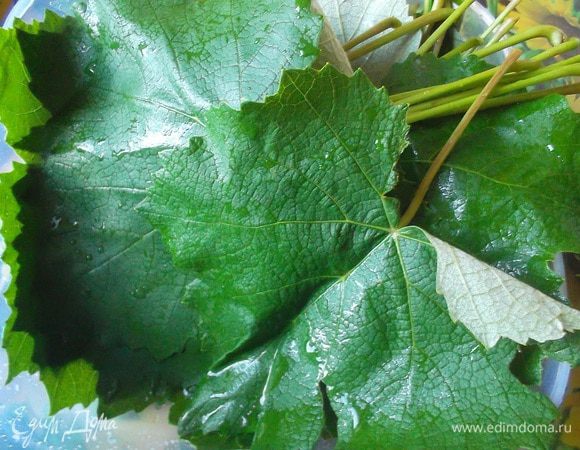 Виноградные листья хорошо промываем. Если листья молодые, то используем так. Если же не очень молодые, то лучше ошпарить кипятком.
