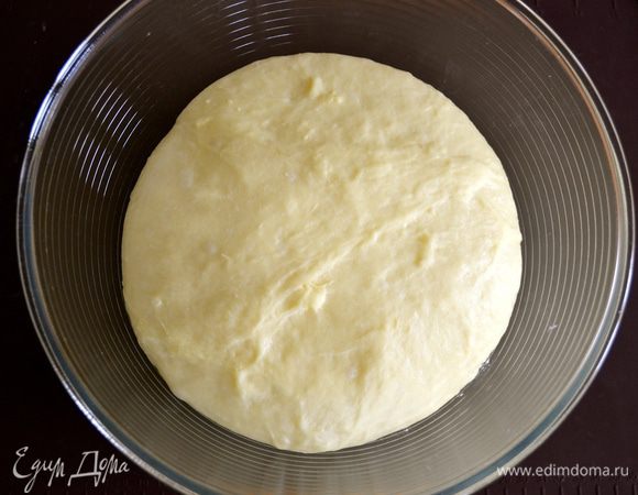 Выложить в миску, слегка присыпанную мукой, и накрыть полотенцем. Поставить в спокойное место и оставить на 1,5 часа для подхода.