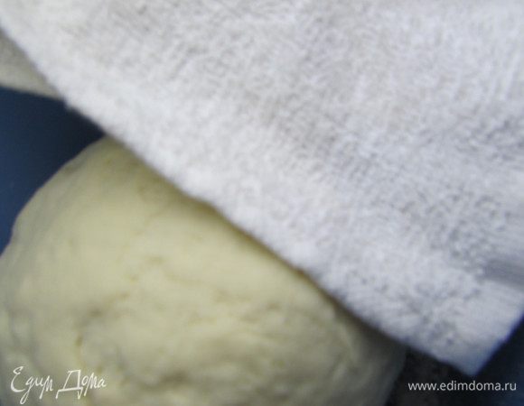 Поместить тесто в миску, присыпанную мукой, накрыть салфеткой. И оставить в теплом месте до подъема теста в 2 раза.