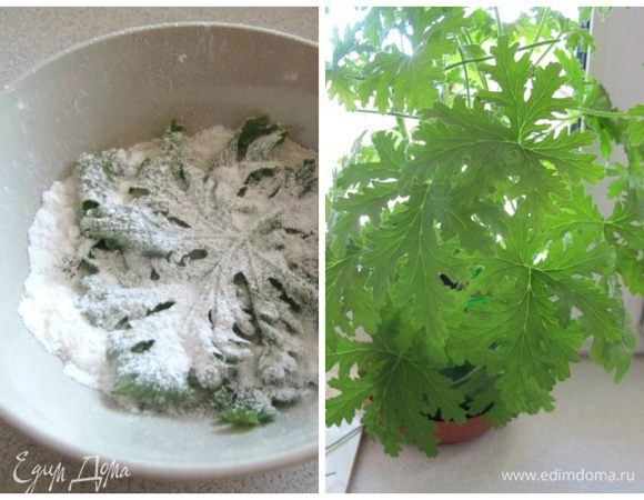 За пару дней до приготовления кекса, я засыпала листья герани сахарной пудрой и отдельно сахаром, и поставила настояться.