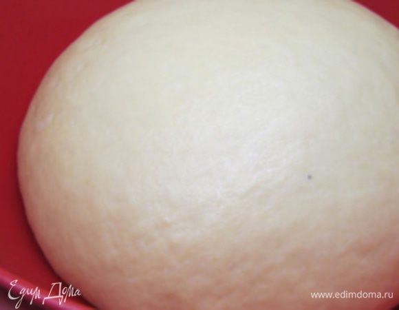 Должно получиться мягкое, гладкое тесто. Накрыть полотенцем и убрать в тёплое место на 1-1,5 часа. Тесто увеличится в 2 раза.