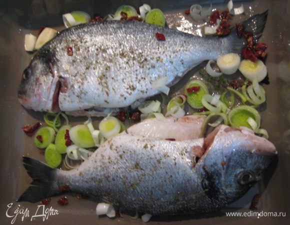 Форму смазать оливковым маслом, выложить порей, помидоры и очищенный зубчик чеснока, рыбу, налить вино. Запекать при температуре 210С 20 минут. Время запекания зависит от размеры рыбы.