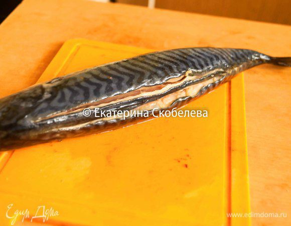 Скумбрию необходимо промыть под проточной водой и обрезать плавники. Сделать надрезы на спинке с двух сторон, так, чтобы можно было вытащить хребет, но не прорезая рыбу полностью до хвоста.