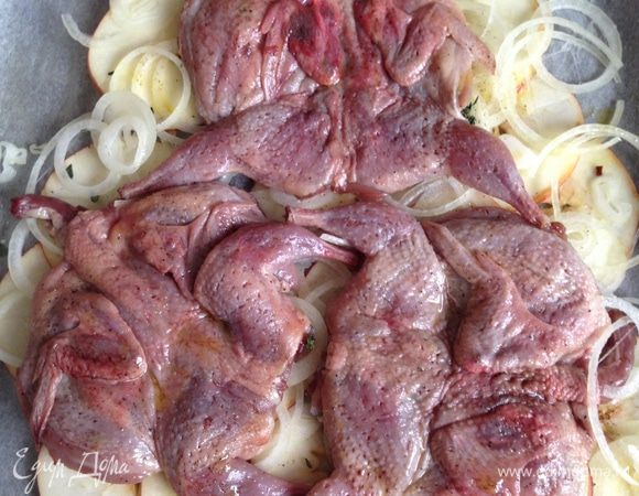 Выложить перепелов на яблочно-луковую подушку и запекать в предварительно разогретой до 180 градусов в духовке в течение 20 (+-5) минут до румяной корочки. Периодически поливать выделившимся соком. Подавать, украсив веточками тимьяна и розовым перцем (по желанию)