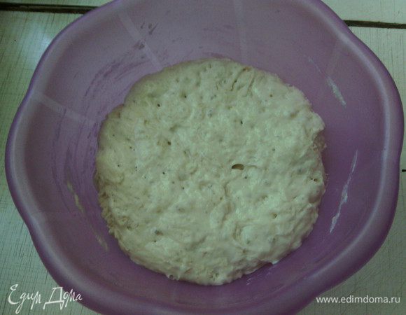 Опара после 5 часов.