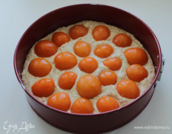 Разъёмную форму диаметром 24 см застелить пекарской бумагой, смазать маслом. Выложить тесто в  форму. Сверху выложить половинки абрикосов на тесто.