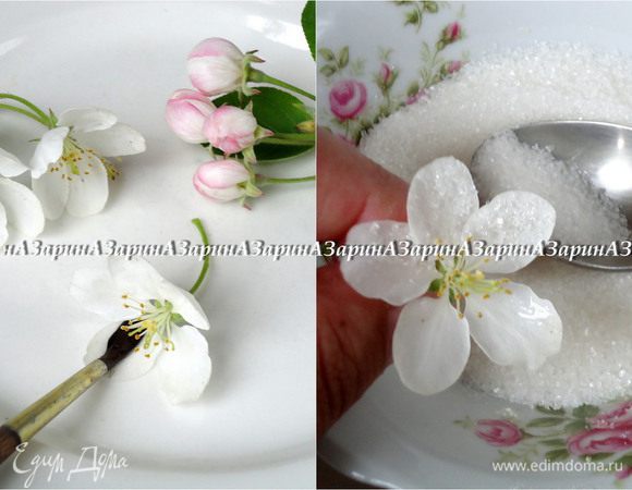 Для украшения, я использовала соцветия яблони, но это могут быть любые съедобные цветы. Белок немного взбить вилкой, что бы легче было обмакивать кисть. Поверхность цветов и листиков покрыть белком и тут же обсыпать мелким сахаром. Дать соцветиям подсохнуть.
