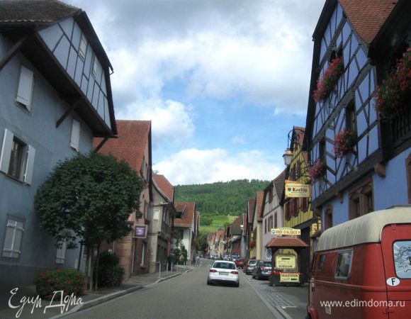 А это фото из путешествия. Где-то в этих местах изобрели киш. Рядом Рейн, недалеко Страсбур.