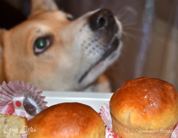 Мужественно вынес фотосессию.