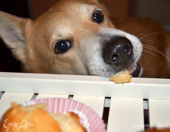 Честно заработал!