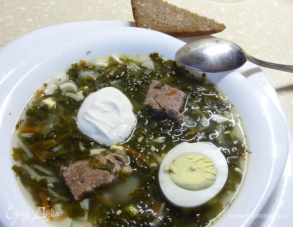 В тарелку я сначала кладу мелко порезанную половинку заранее сваренного яйца (вторую половинку яйца оставляю для украшения), наливаю борщ и кладу сметану. Если с горбушкой черного хлеба, с одной стороны смазанной чесноком, а с другой присыпанной крупной солью. Нам все понравилось: вкусно, полезно и витаминно.