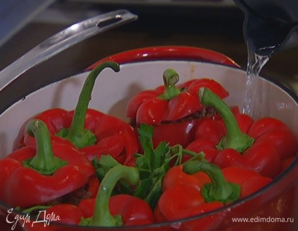 Выложить к овощам веточки петрушки, влить оставшееся вино и столько горячей воды, чтобы перец был погружен в жидкость на треть, все посолить, добавить лавровый лист, накрыть крышкой и тушить на небольшом огне минут 40 до готовности.