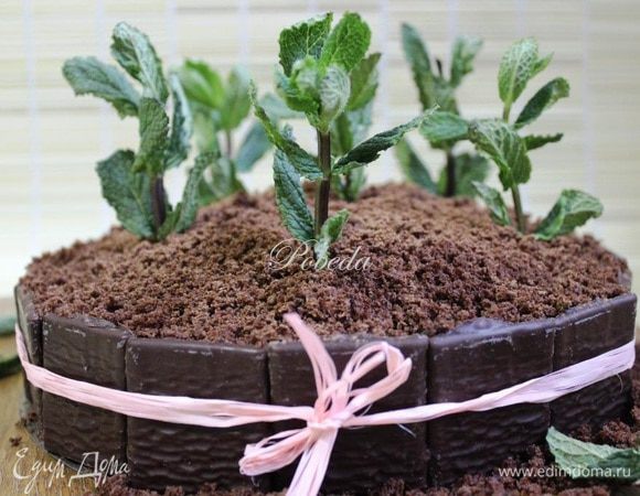 Верх засыпаем бисквитной крошкой и "сажаем" в нашу импровизированную землю веточки мяты. 
До подачи ставим торт в холодильник.
Если дегустация будет только на следующий день, то мятой соответственно декорируем перед подачей.