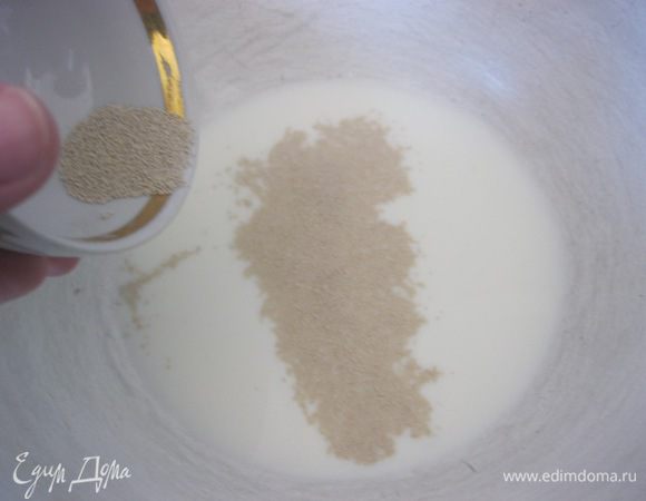  В теплом молоке растворить дрожжи, сахар и соль.
Оставить на 15-20 минут, до появления " шапочки".