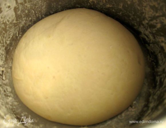   Выложить тесто в смазанную маслом миску (кастрюлю), накрыть полотенцем и дать подойти в теплом месте в течение 1 часа.