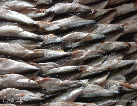 Делаем заливное тесто: взбиваем по очереди: яйца+сметана+соль+сода+перец душистый+паприка+мука.
Застилаем пергаментной бумагой противень, посыпаем бумагу панировочными сухарями (у меня был маленький противень 30/25). Возможно вам лучше взять форму, если нет такого маленького противня.
Выливаем на посыпанную бумагу сначала совсем немного теста, так, чтобы получилась тонкая почва для пирога. Сверху выкладываем тюльку как на фото.