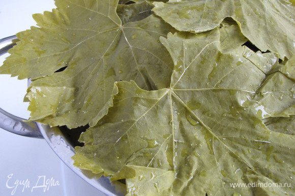 Соленые виноградные листья промыть в воде от рассола. Положить их на дуршлаг, чтобы стекла вода.