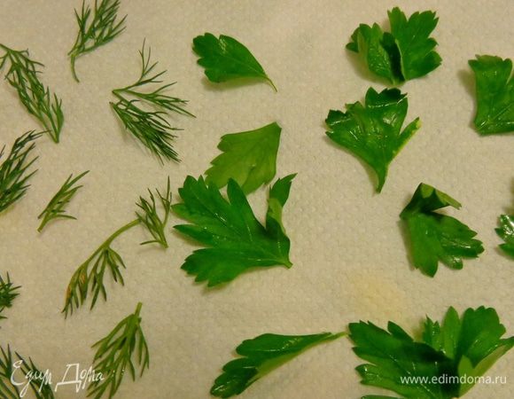 А вот и обещанный сюрприз! У петрушки, кинзы, укропа оборвать мелкие листики, промыть их и обсушить.