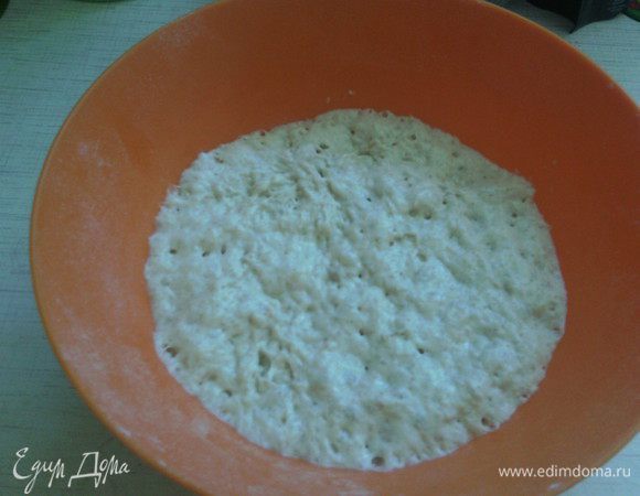 Готовим опару:
В миске тщательно смешиваем все ингредиенты, накрываем плёнкой и оставляем при комнатной температуре на 4-5 часов.

Готовая опара :) 