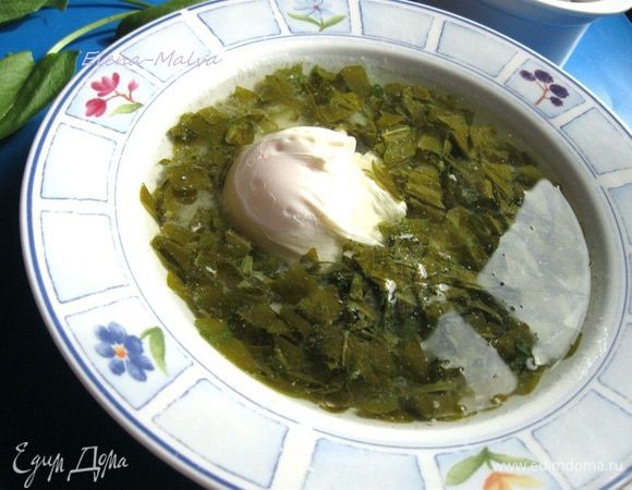 Дать остыть. Добавить в тарелку яйцо пашот. Сервировать сметаной или  натуральным йогуртом, порезанной зеленью. Приятного аппетита!