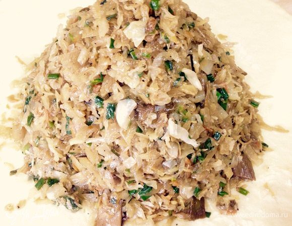 Готовое тесто разделите на две части, 2/3 и 1/3. Большой кусок раскатайте на присыпанной мукой поверхности. Уложите на тесто начинку и полейте отваром, что осталось на сковородке после тушения. 