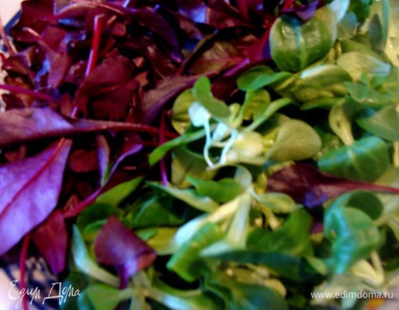 Смешать лисья салата и молодые листики свеклы. Слегка посолить, сбрызнуть бальзамическим укусом и приправить оливковым маслом (можно без масла).