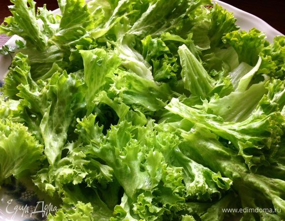 Промытый салат рвем руками на кусочки и выкладываем на широкое блюдо.