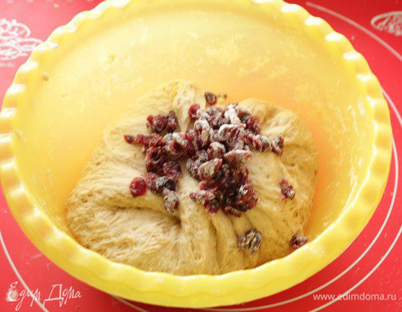 Тесто обмять, добавить клюкву, обваленную в муке и вымесить его.