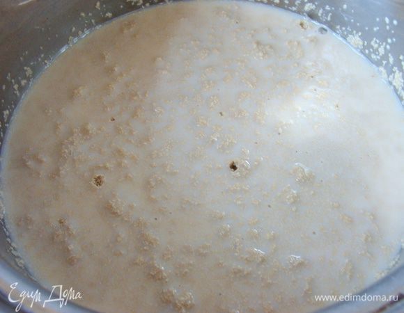 В теплом молоке развести дрожжи с несколькими ст. л. сахара (3-4).