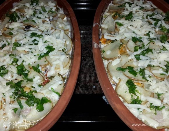 Достаем тарелки, посыпаем оставшейся зеленью и сыром и запекаем до образования румяной корочки.