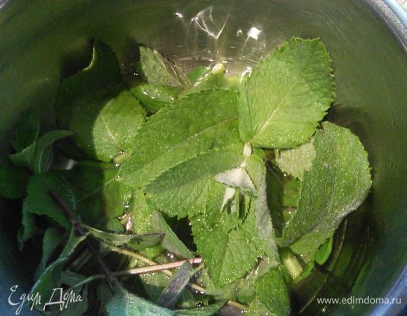 Мяту вымыть, связать в пучок, вино нагреть в кастрюльке со 120 г сахара, довести до начала кипения и поместить мяту в вино. Оставить настаиваться на ночь. 
