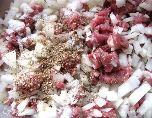 Мясо порезать на мелкие кусочки (не пользоваться мясорубкой). Не крупнее 0,5-0,7 см. Мясо должно быть жирное (по традиционному рецепту требуется добавление курдючного жира). Я его не добавляла. Порезать лук кубиками. Добавить специи: кориандр (растолочь), черный перец.
